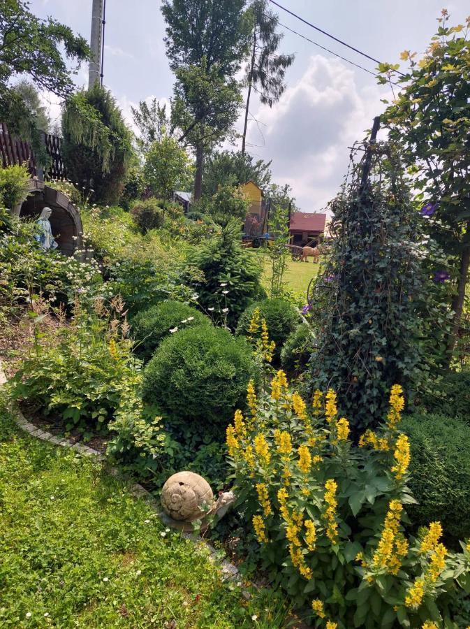 Noclegi u Ilony Czarna Góra Exterior foto